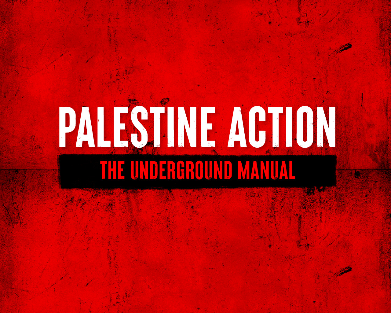 Shared post - Palestine Action the Underground Manual