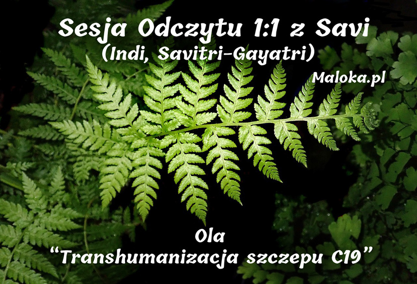 Sesja Odczytu 1:1 z Savi - Ola “Transhumanizacja szczepu C19”