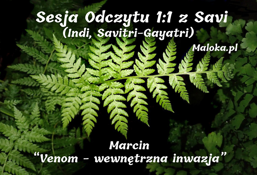 Sesja Odczytu 1:1 z Savi - Marcin “Venom - wewnętrzna inwazja”