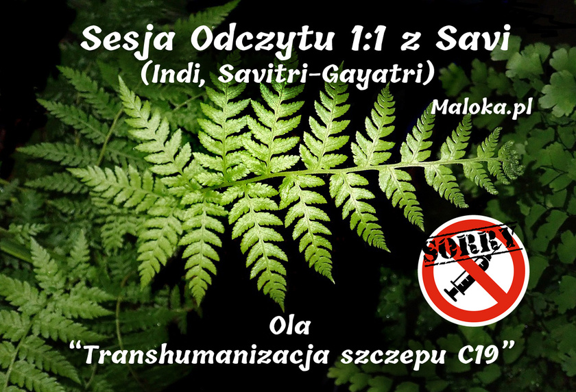 Sesja Odczytu 1:1 z Savitri - Ola &ldquo;Transhumanizacja szczepu C19&rdquo;