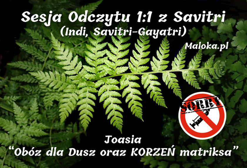 Sesja Odczytu 1:1 z Savitri - Joasia &ldquo;Ob&oacute;z dla Dusz oraz KORZEŃ matriksa&rdquo; +PRZEGLĄD ...