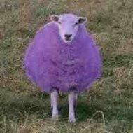 community logo