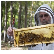 Michael Bush and Natural Beekeeping