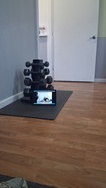 Fitness Professionals