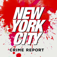 NYC Crime Report