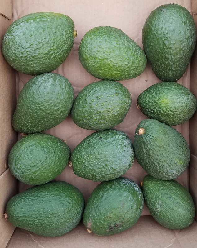 Shared post Finding the truth through Quotes and Sayings, old