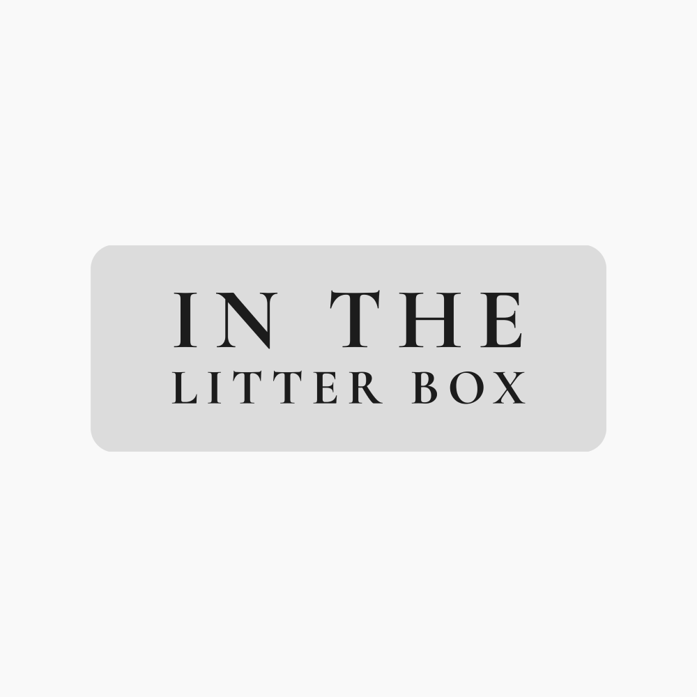Why Are There Bugs In The Litter Box