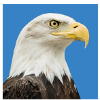 Community logo