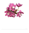 Community logo