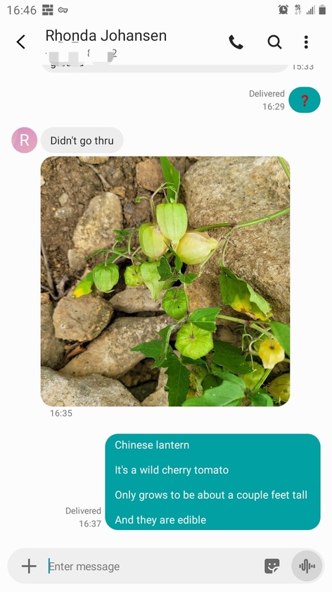 post photo preview