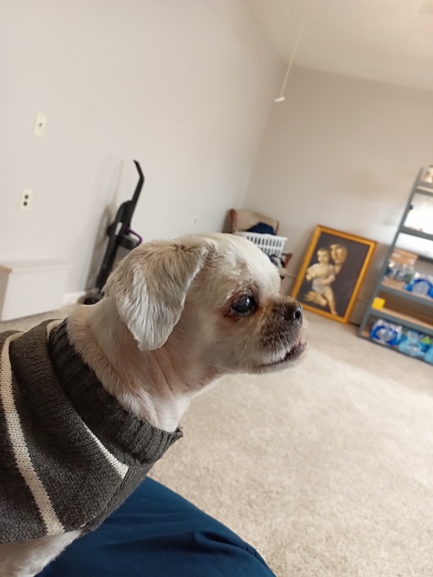 post photo preview