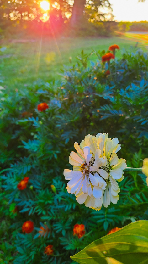 post photo preview