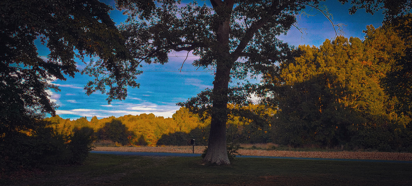post photo preview