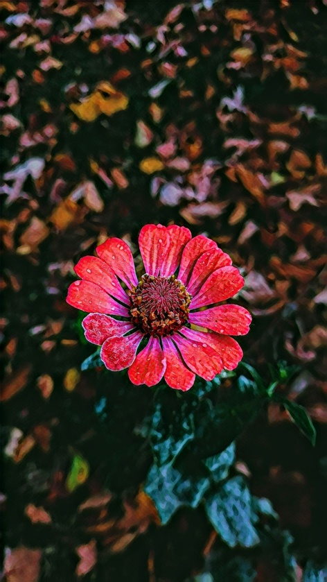post photo preview