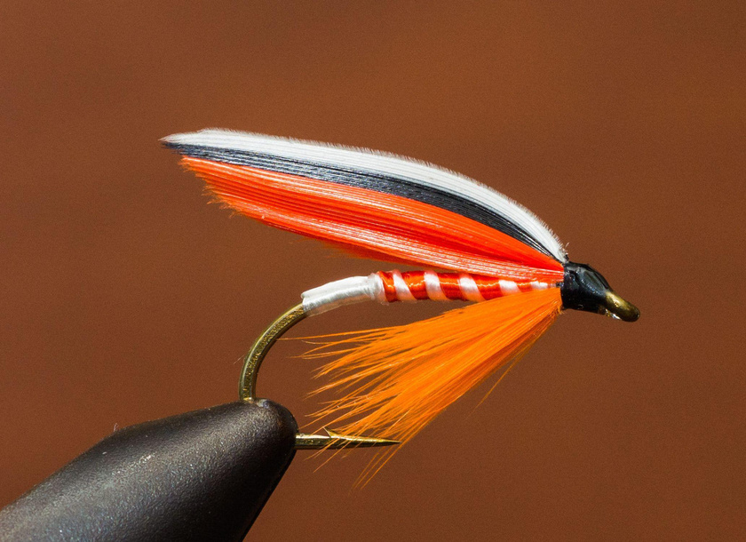 Trout Finn Wet Fly