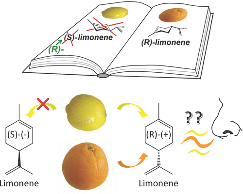 Limonene again