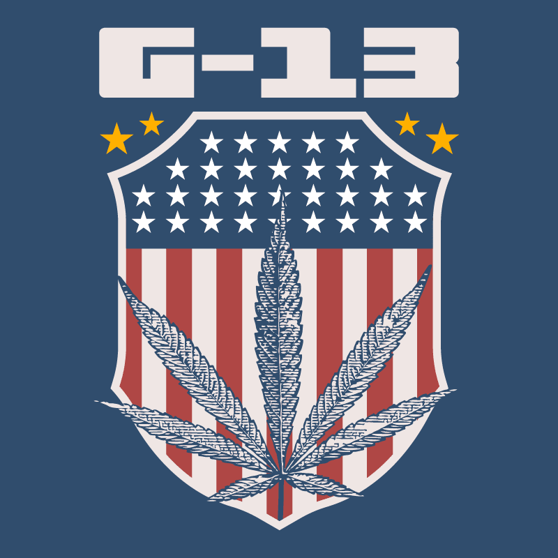 G13