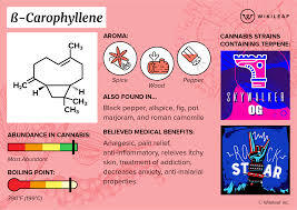 Trans Caryophyllene