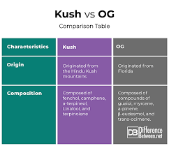 Hindu vs OG Kush