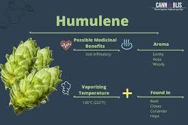 Humulene