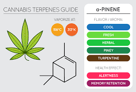 A Pinene