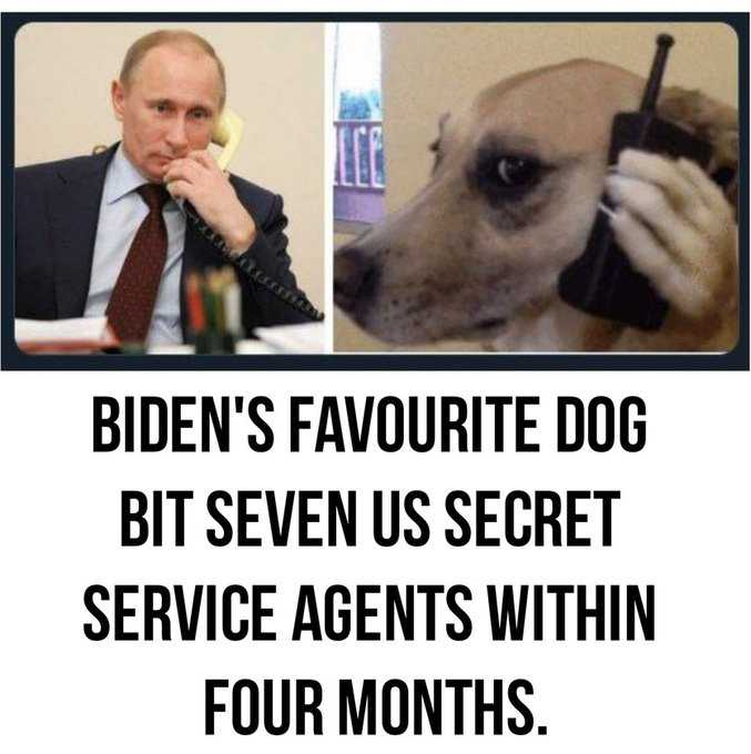 spy mutt rus 