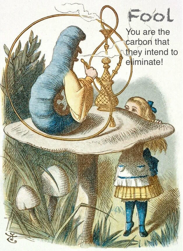 alice and carbon 