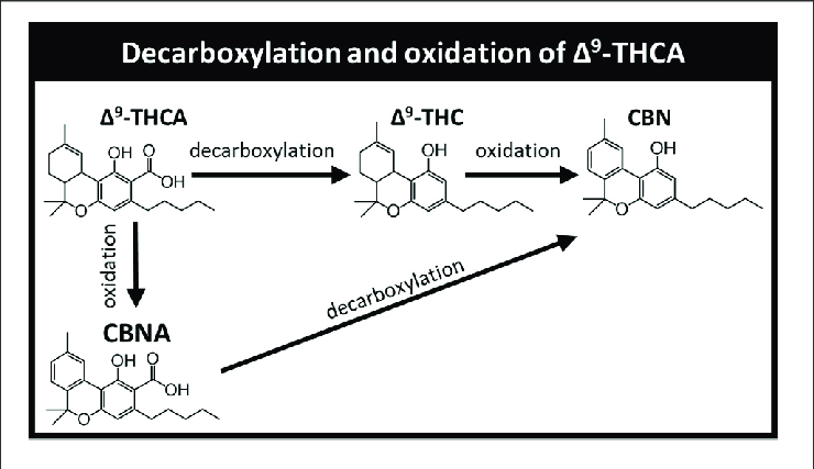 Describing oxidizing