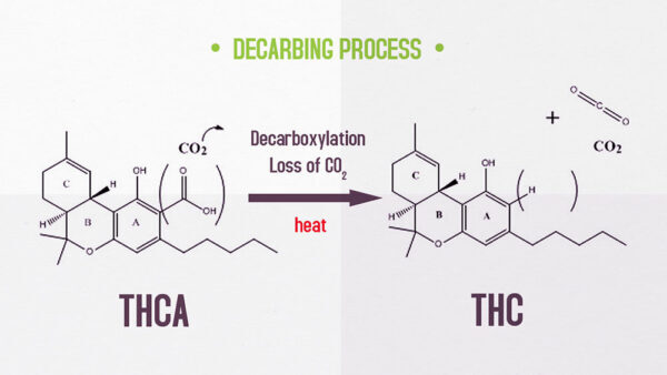 Loss of. Co2