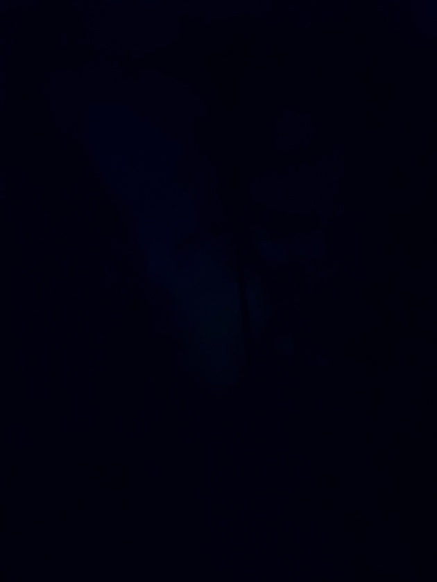 post photo preview