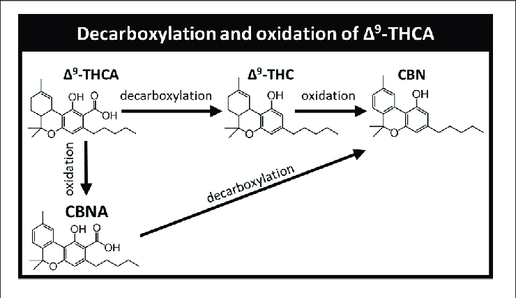 THCa THCa cbb