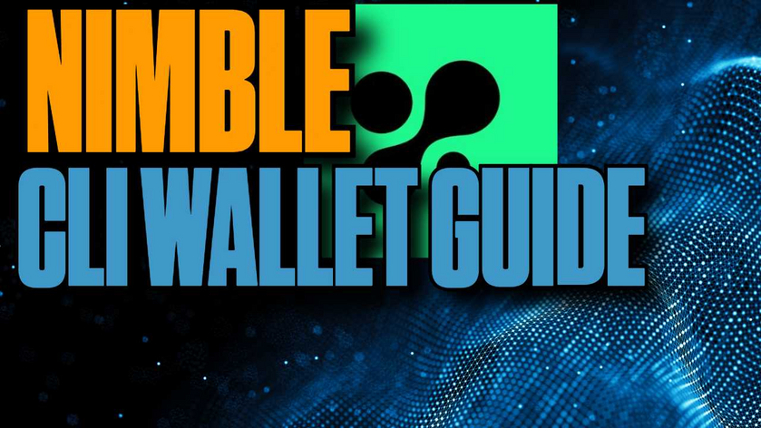Nimble Wallet Guide