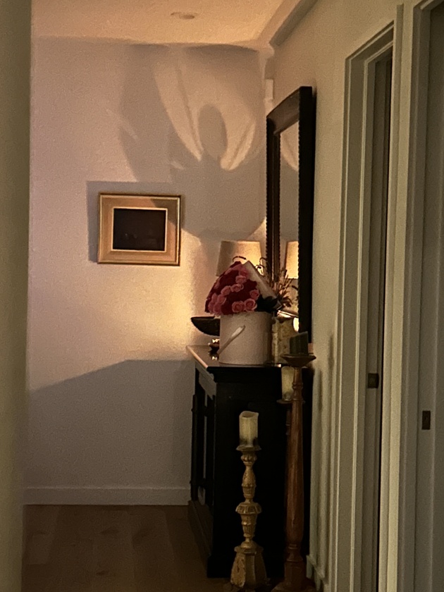post photo preview
