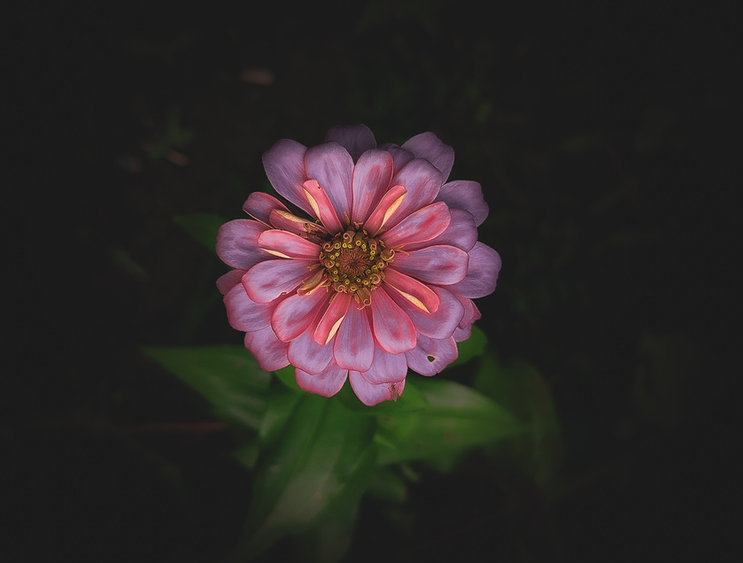 post photo preview