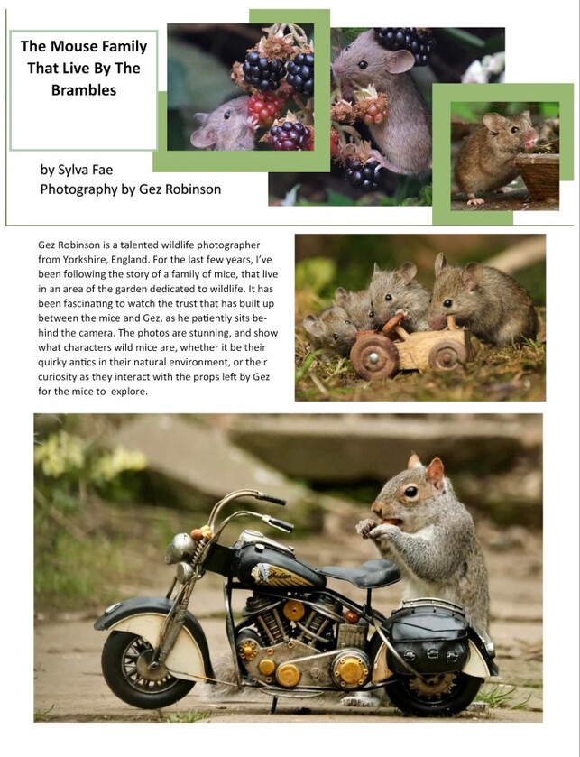 post photo preview