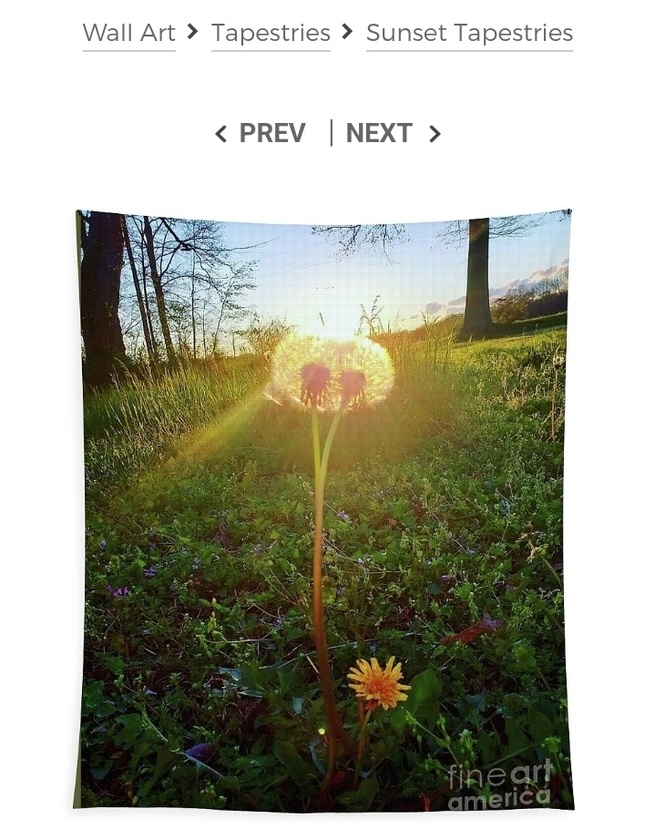 post photo preview