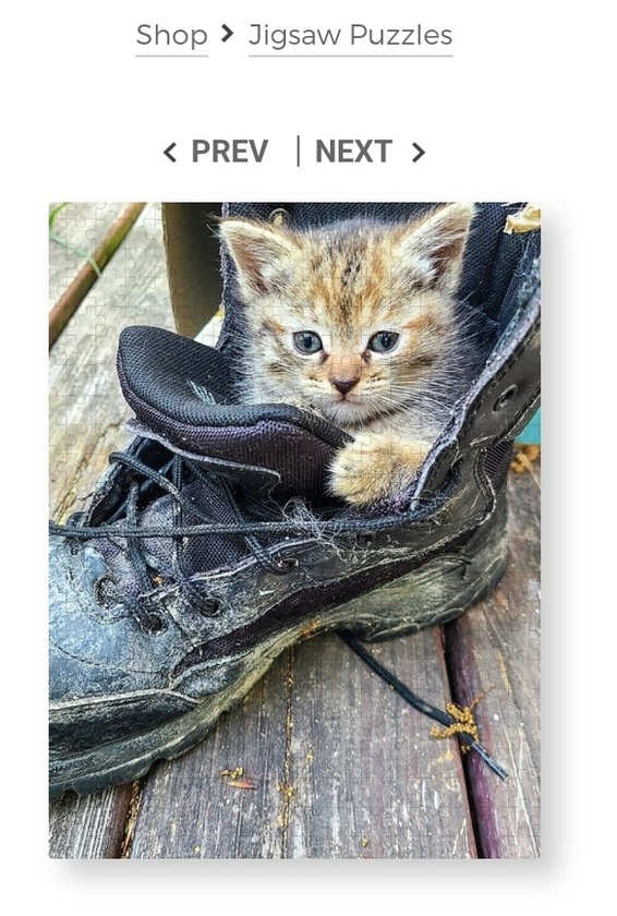 post photo preview