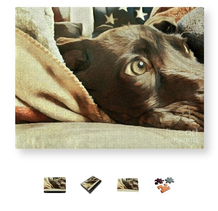 post photo preview