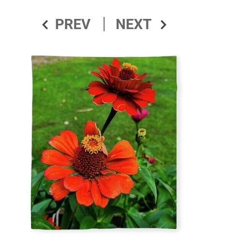 post photo preview