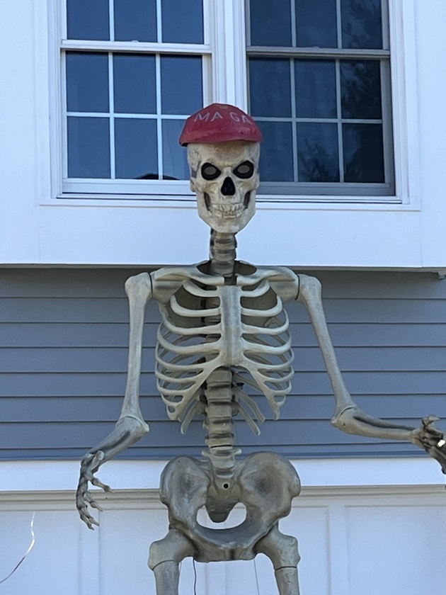 post photo preview
