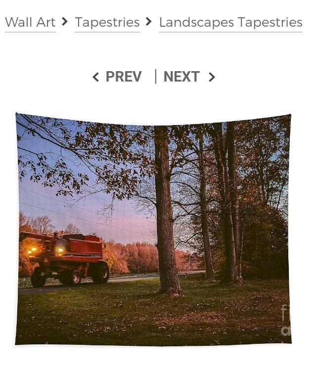 post photo preview