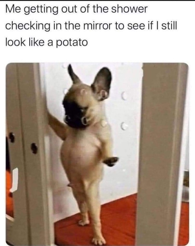 post photo preview