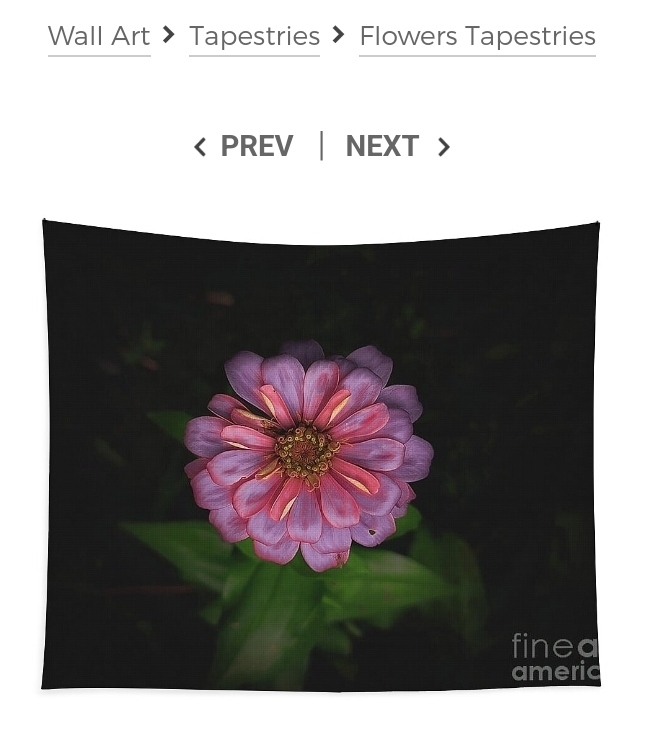 post photo preview