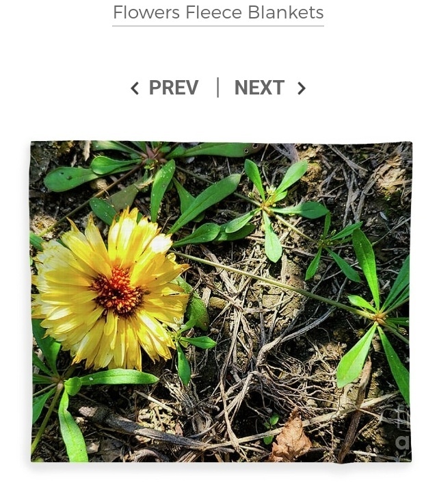 post photo preview