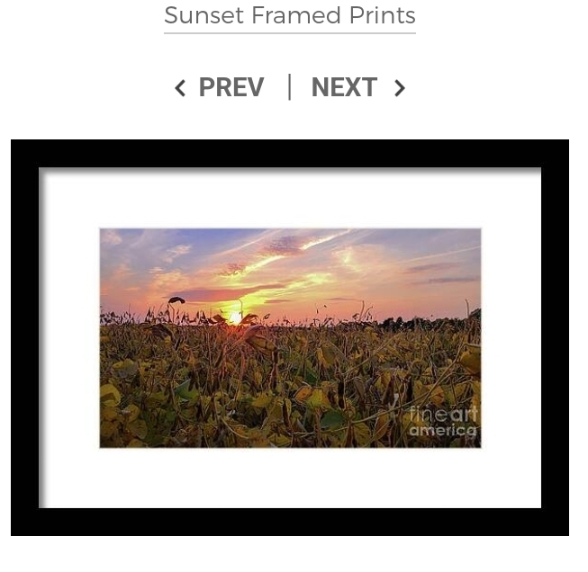 post photo preview