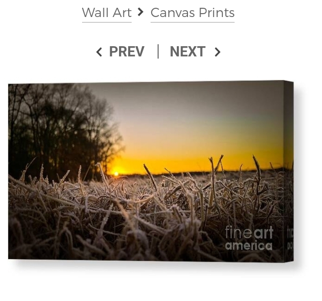 post photo preview
