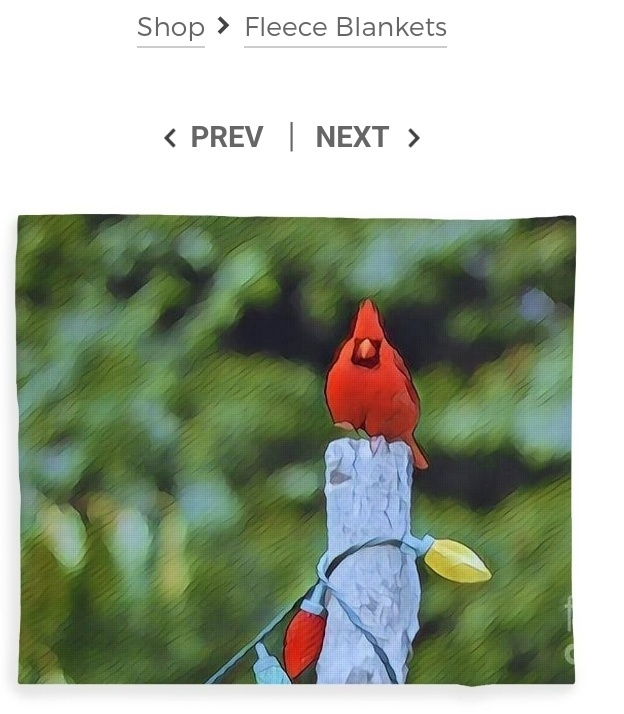 post photo preview