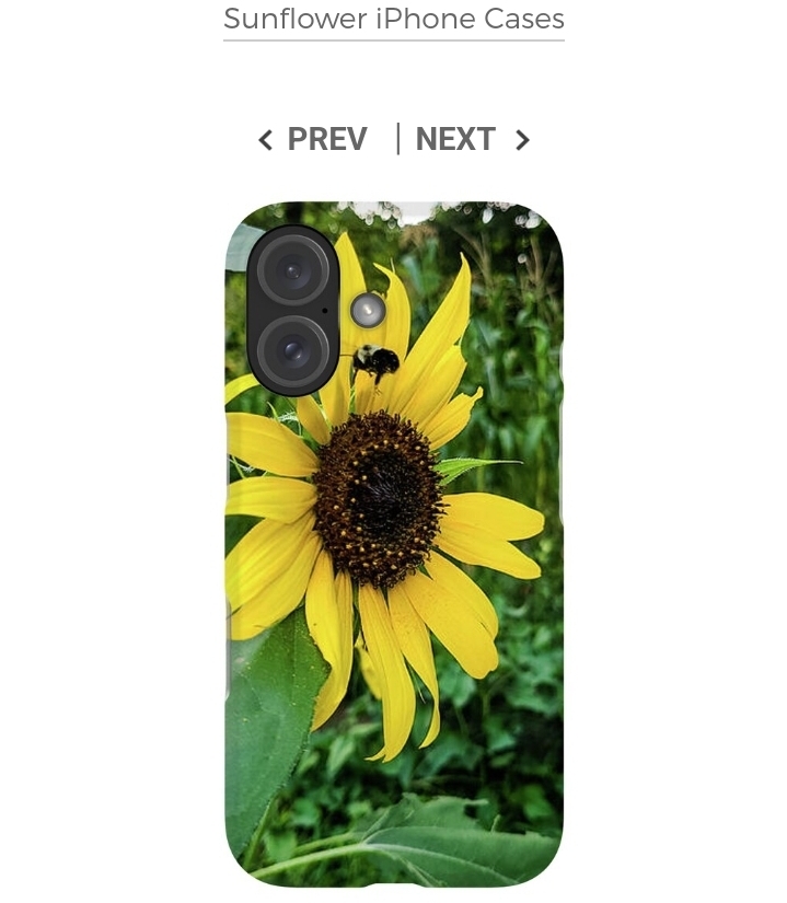 post photo preview