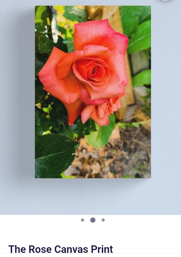 post photo preview