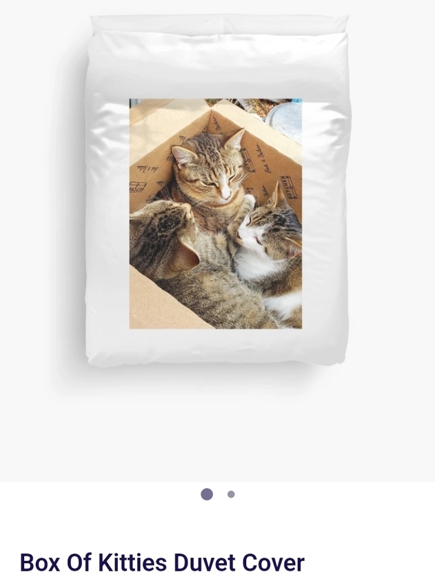post photo preview